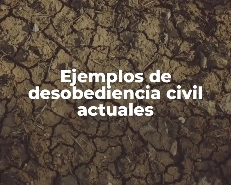 Ejemplos de desobediencia civil actuales