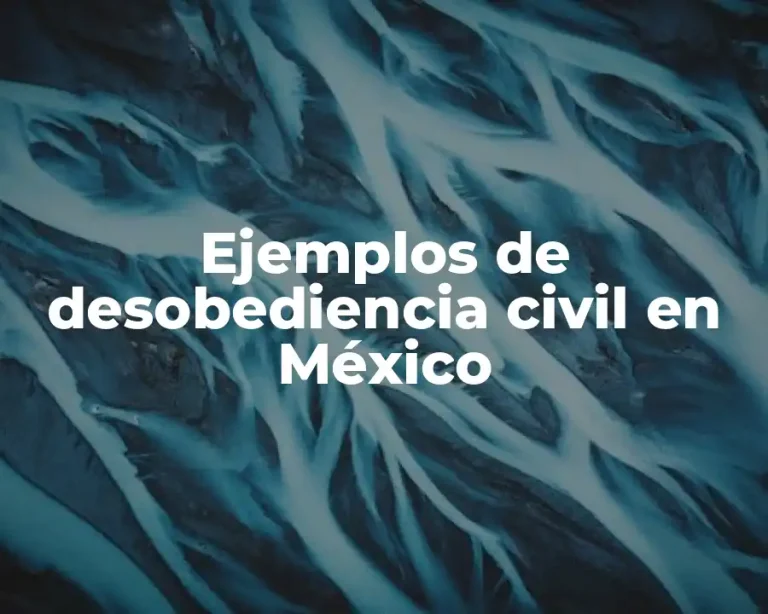 Ejemplos de desobediencia civil en México