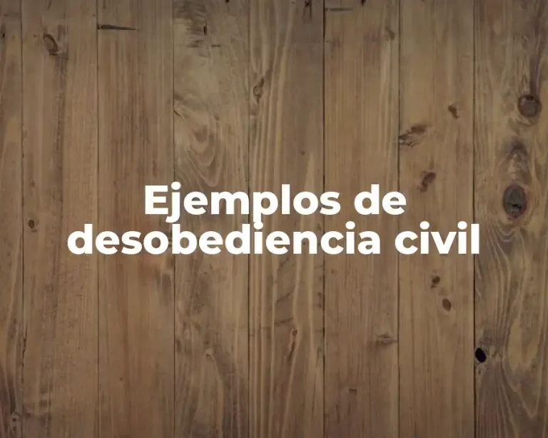 Ejemplos de desobediencia civil