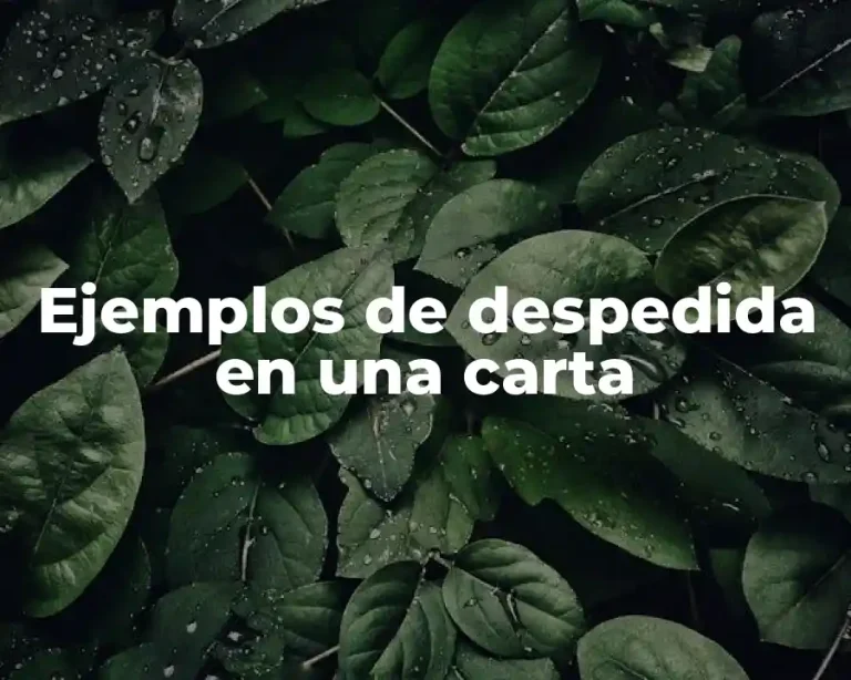 Ejemplos de despedida en una carta