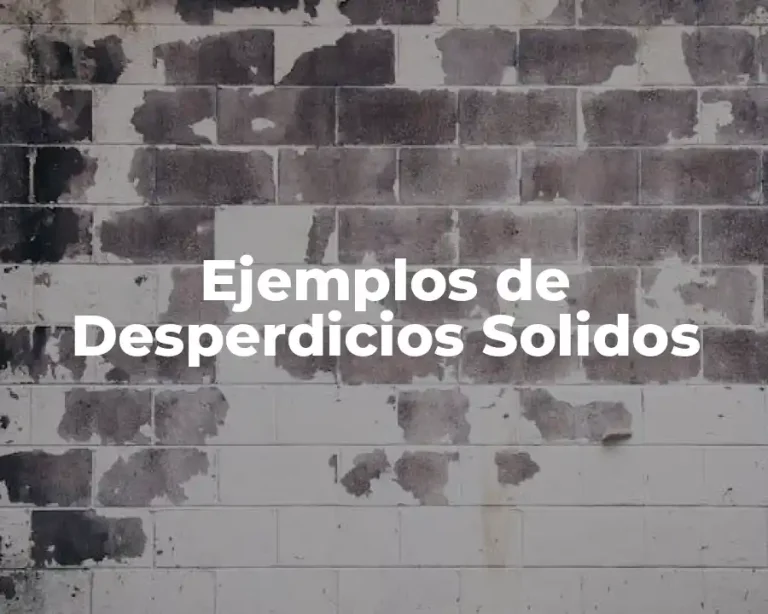 Ejemplos de Desperdicios Solidos
