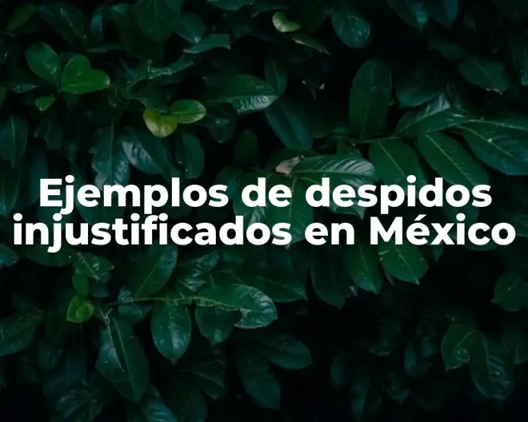 Ejemplos de despidos injustificados en México