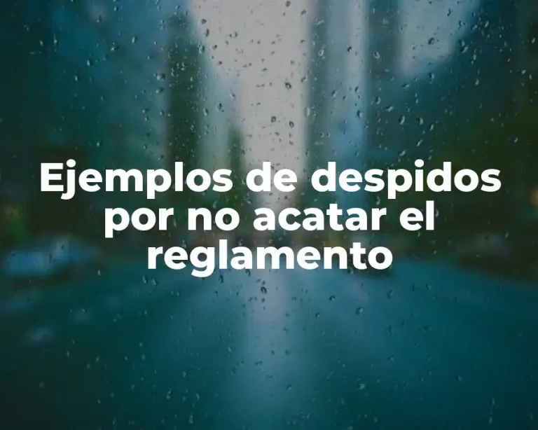 Ejemplos de despidos por no acatar el reglamento