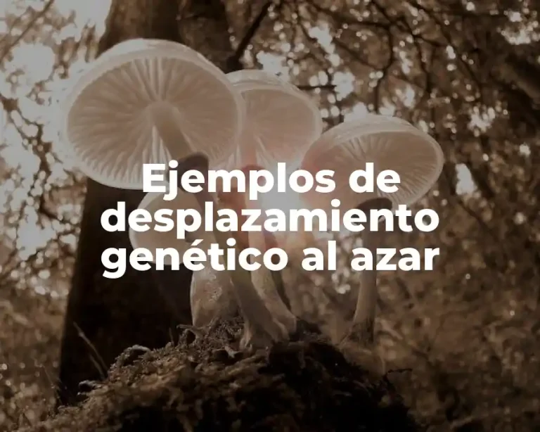 Ejemplos de desplazamiento genético al azar