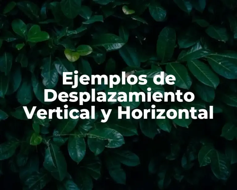 Ejemplos de Desplazamiento Vertical y Horizontal