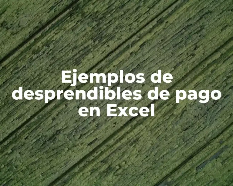 Ejemplos de desprendibles de pago en Excel