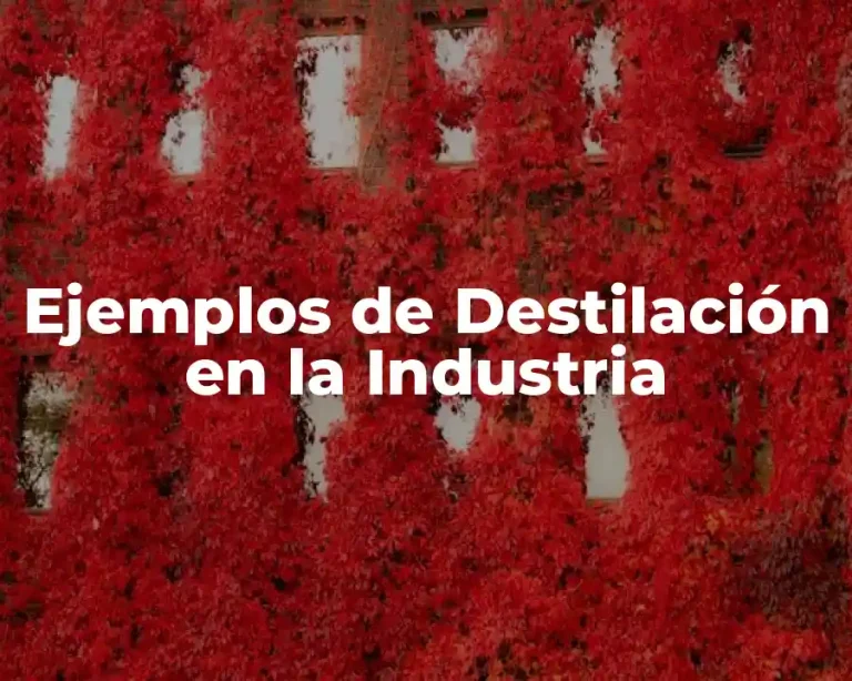 Ejemplos de Destilación en la Industria