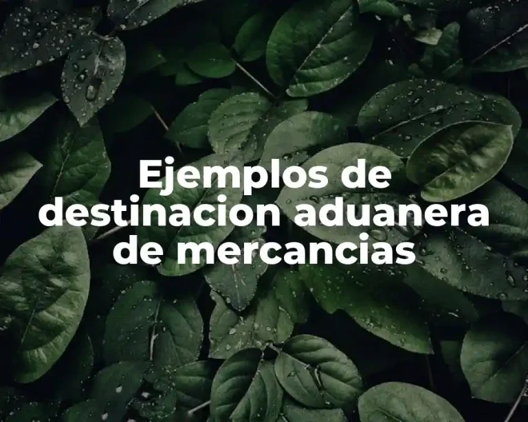 Ejemplos de destinacion aduanera de mercancias