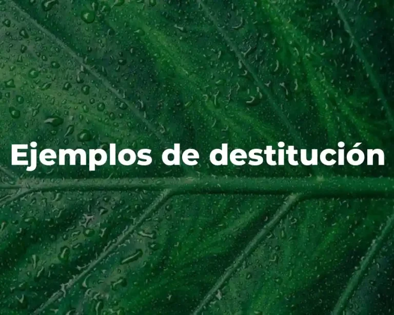 Ejemplos de destitución