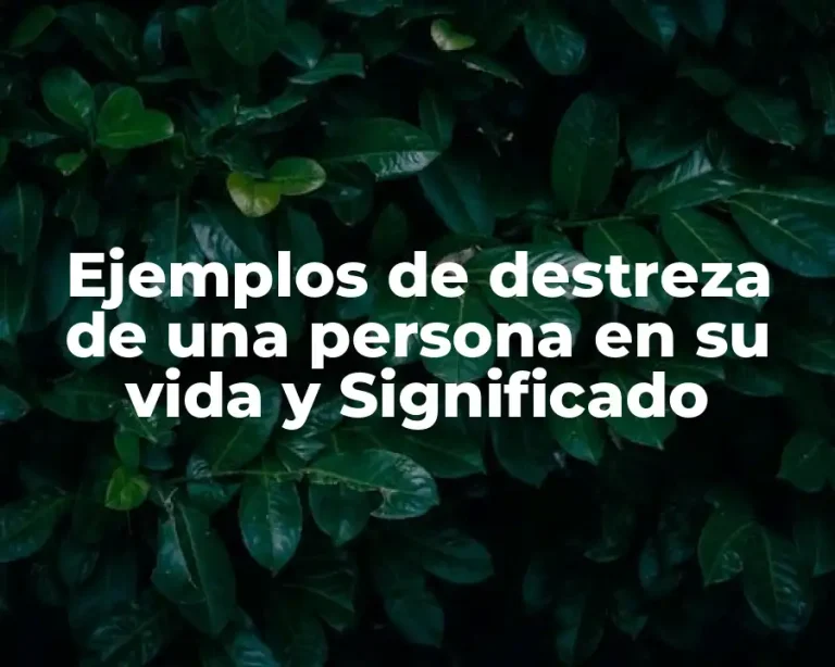 Ejemplos de destreza de una persona en su vida y Significado