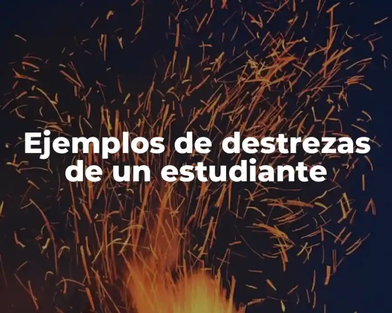 Ejemplos de destrezas de un estudiante