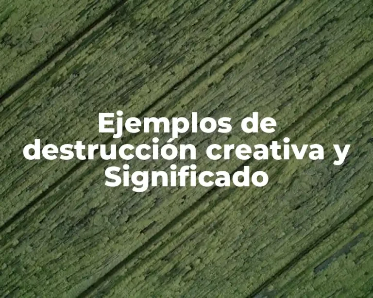 Ejemplos de destrucción creativa y Significado