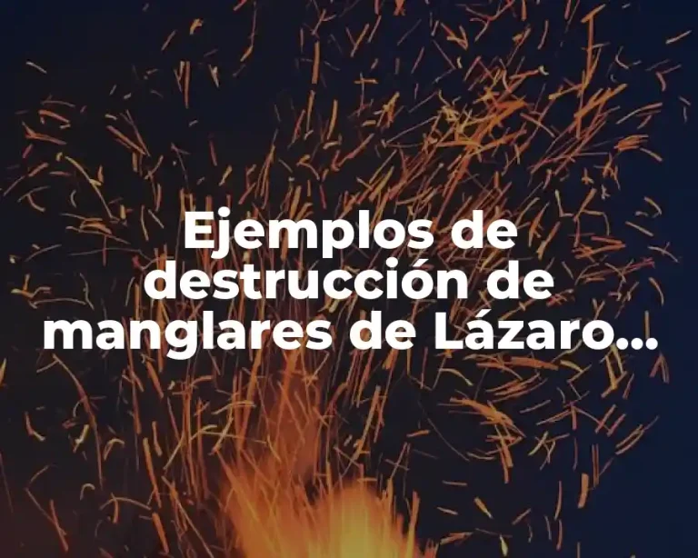 Ejemplos de destrucción de manglares de Lázaro Cárdenas