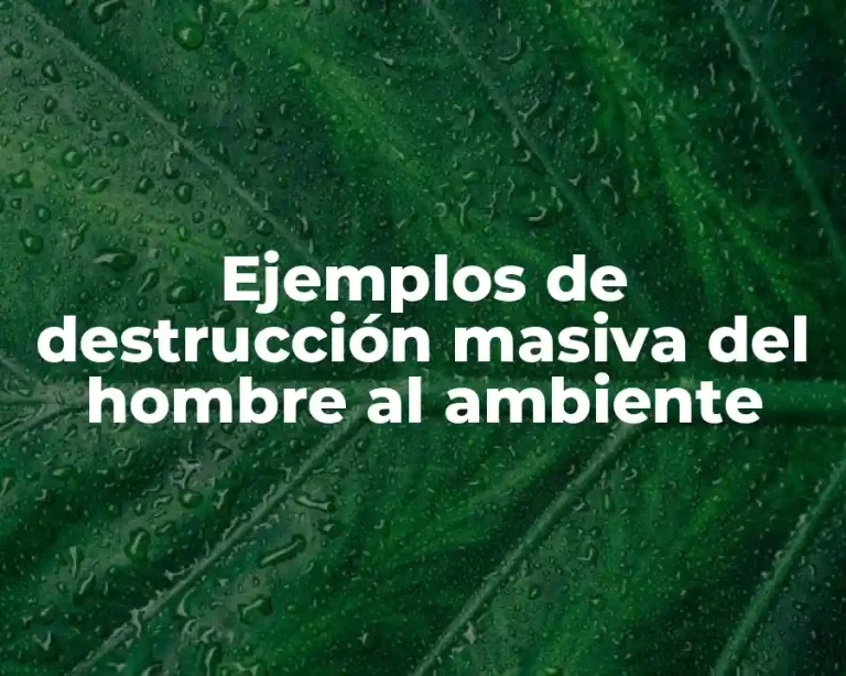 Ejemplos de destrucción masiva del hombre al ambiente