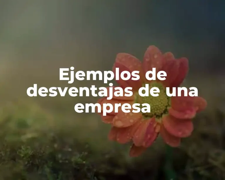 Ejemplos de desventajas de una empresa