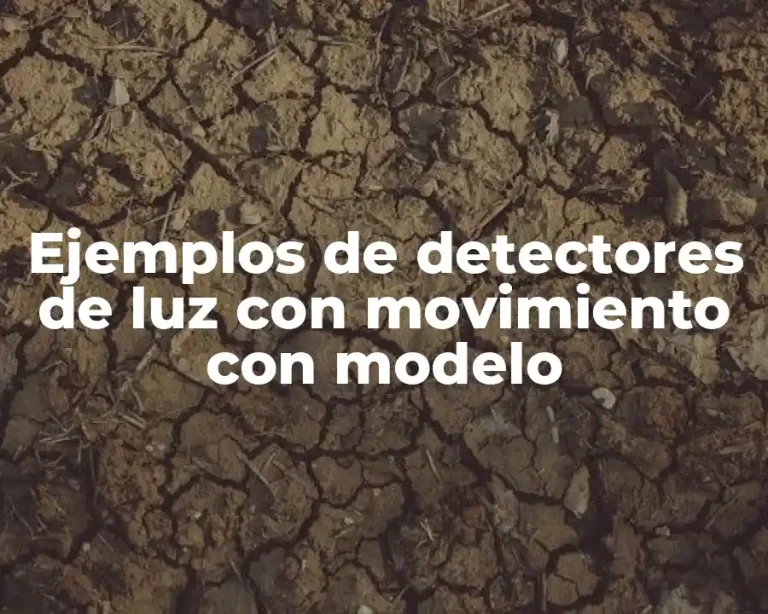 Ejemplos de detectores de luz con movimiento con modelo