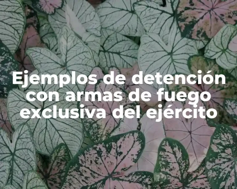 Ejemplos de detención con armas de fuego exclusiva del ejército