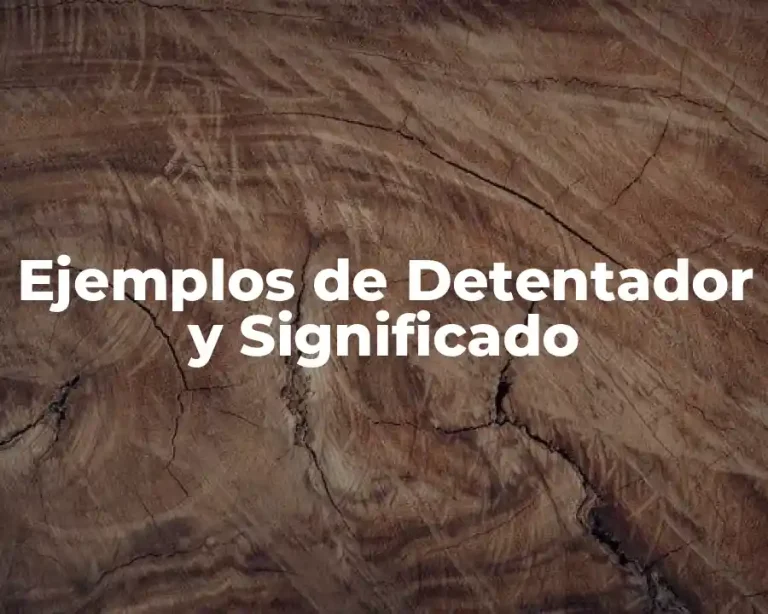 Ejemplos de Detentador y Significado