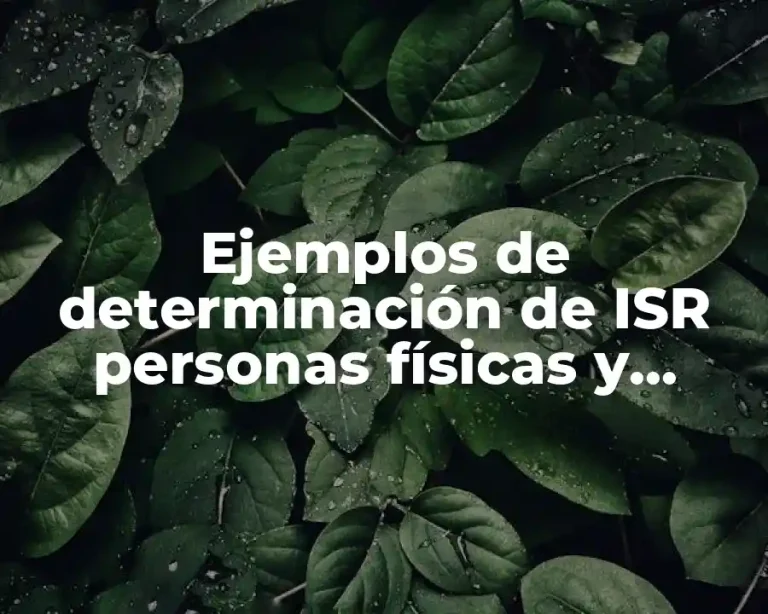 Ejemplos de determinación de ISR personas físicas y Significado
