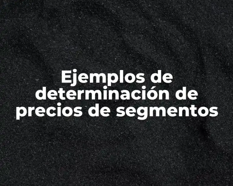 Ejemplos de determinación de precios de segmentos