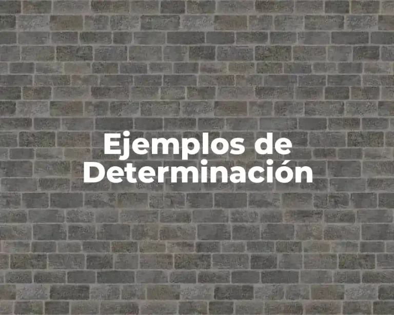 Ejemplos de Determinación