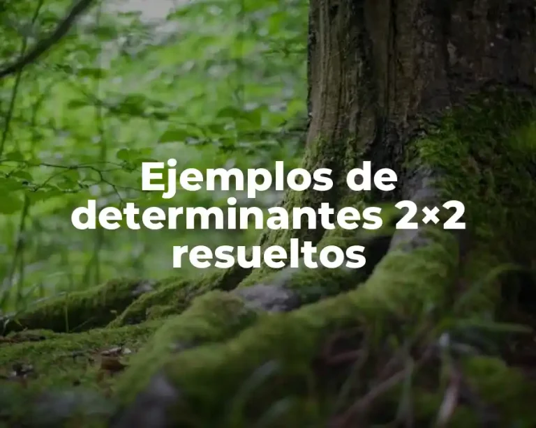 Ejemplos de determinantes 2×2 resueltos