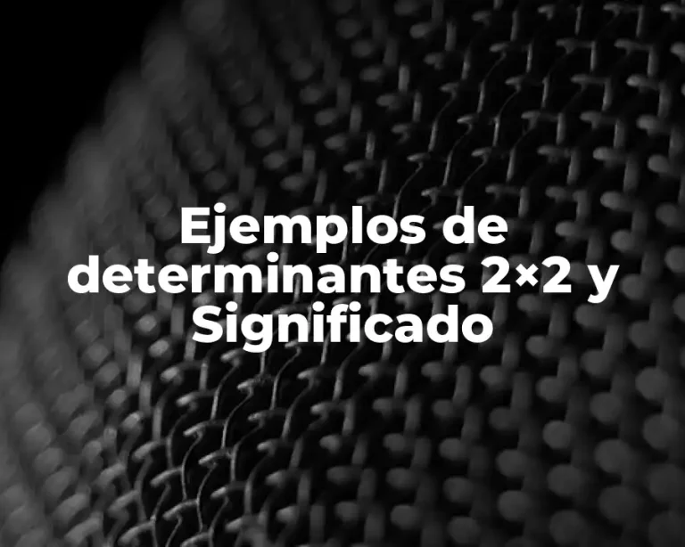 Ejemplos de determinantes 2×2 y Significado