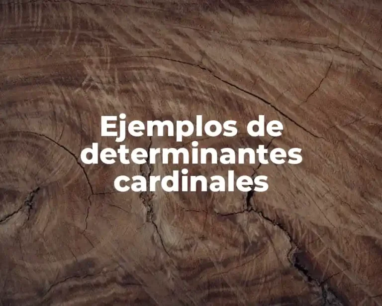 Ejemplos de determinantes cardinales