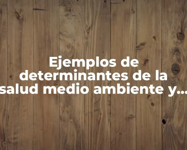 Ejemplos de determinantes de la salud medio ambiente y Significado