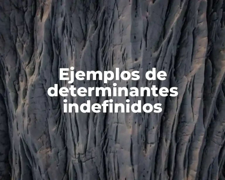 Ejemplos de determinantes indefinidos