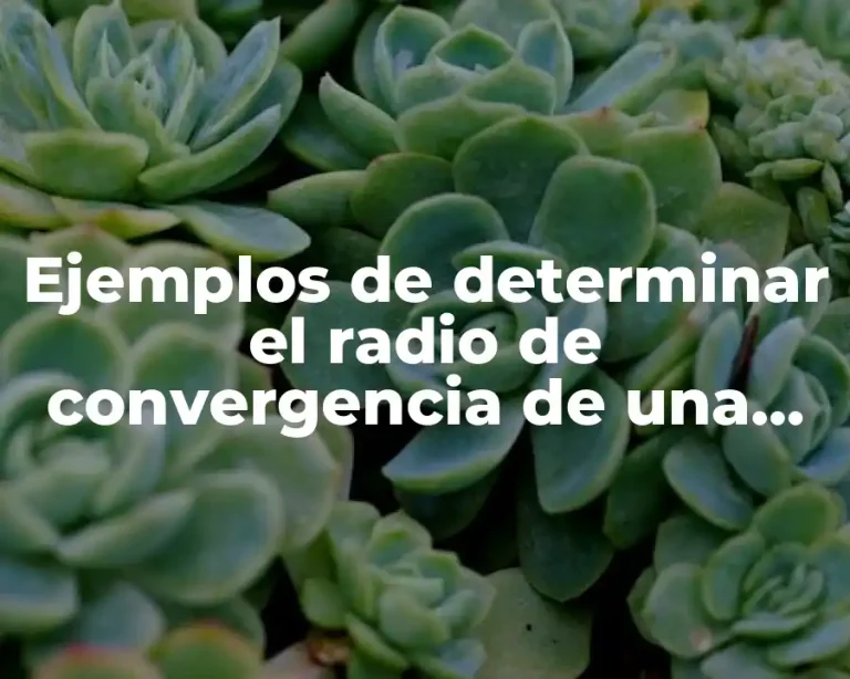 Ejemplos de determinar el radio de convergencia de una serie y Significado