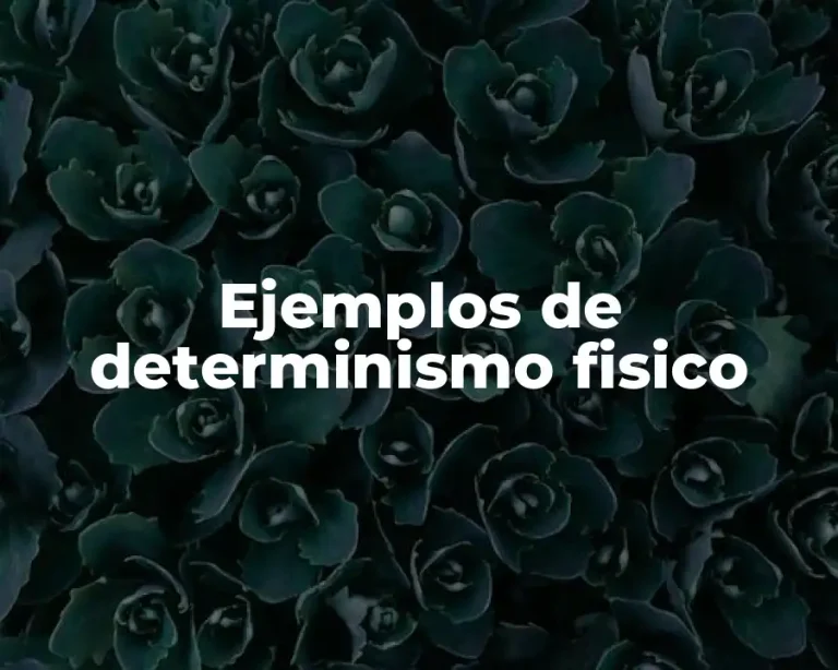 Ejemplos de determinismo fisico