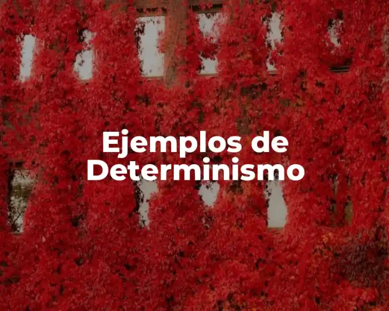 Ejemplos de Determinismo