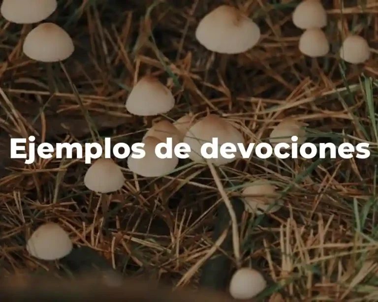 Ejemplos de devociones