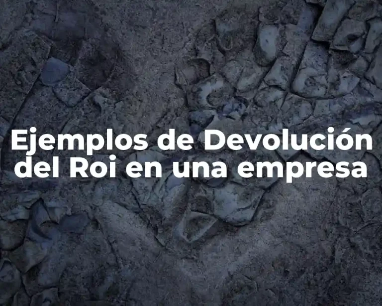 Ejemplos de Devolución del Roi en una empresa