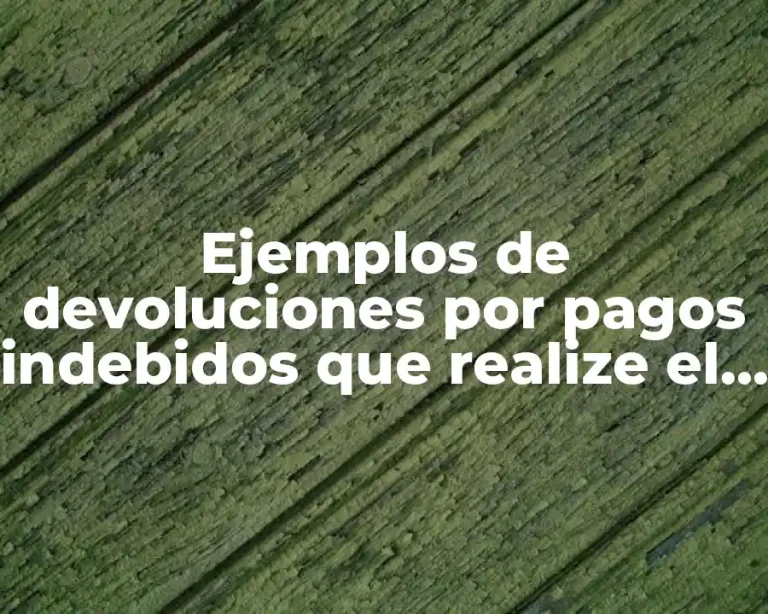 Ejemplos de devoluciones por pagos indebidos que realize el SAT