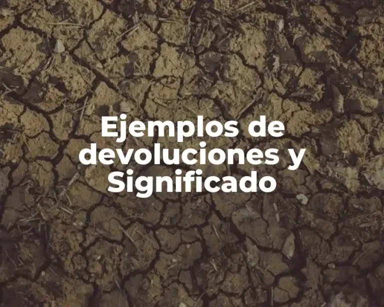 Ejemplos de devoluciones y Significado