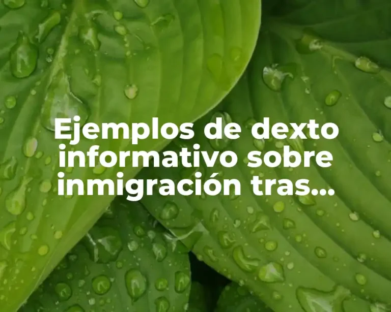 Ejemplos de dexto informativo sobre inmigración tras atentado en NY
