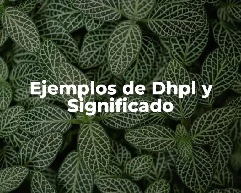 Ejemplos de Dhpl y Significado