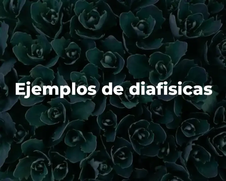 Ejemplos de diafisicas