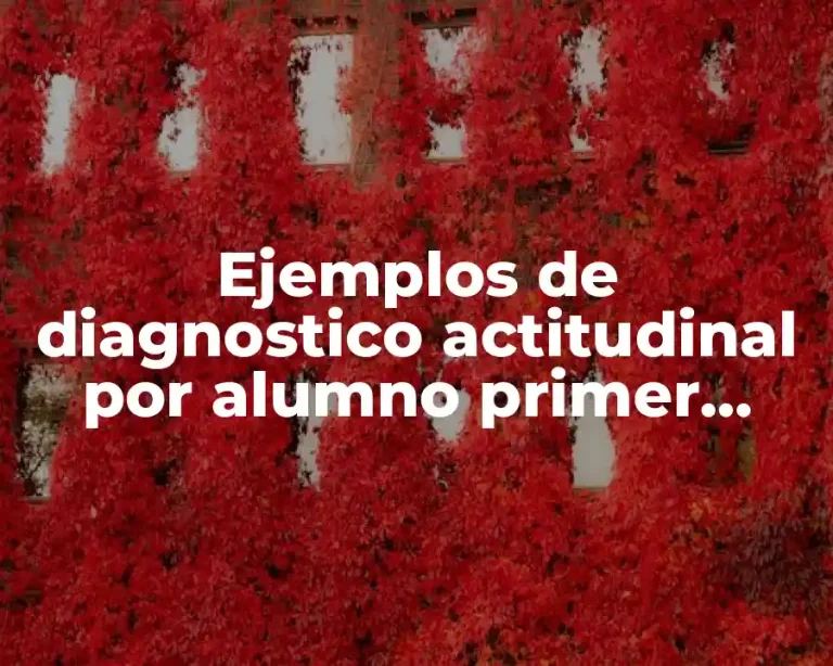Ejemplos de diagnostico actitudinal por alumno primer grado de primaria