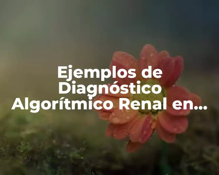 Ejemplos de Diagnóstico Algorítmico Renal en Enfermería