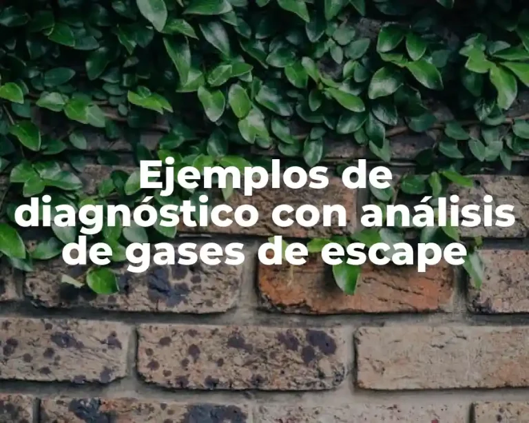 Ejemplos de diagnóstico con análisis de gases de escape