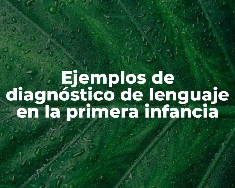 Ejemplos de diagnóstico de lenguaje en la primera infancia