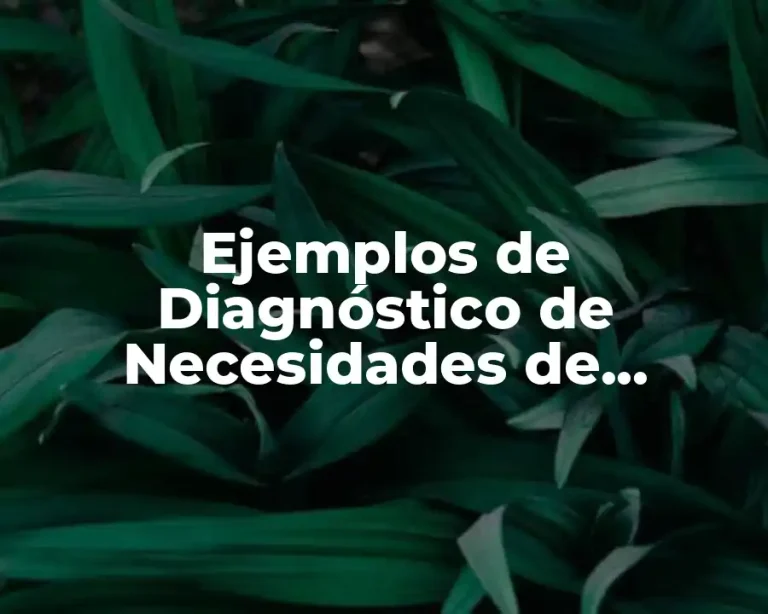 Ejemplos de Diagnóstico de Necesidades de Capacitación y Significado