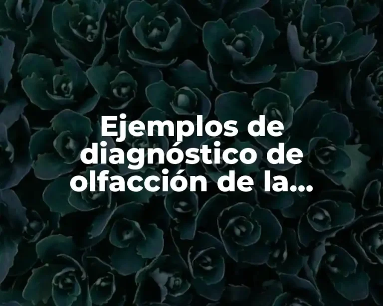 Ejemplos de diagnóstico de olfacción de la medicina tradicional china