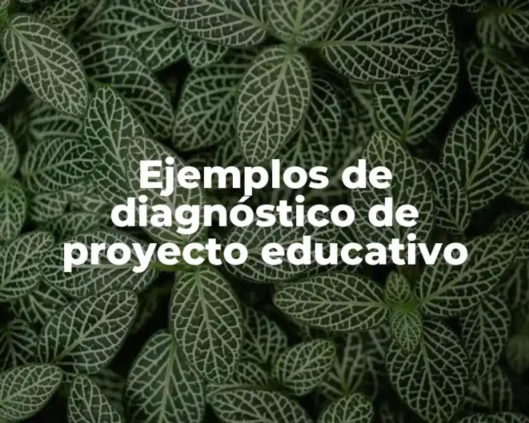 Ejemplos de diagnóstico de proyecto educativo