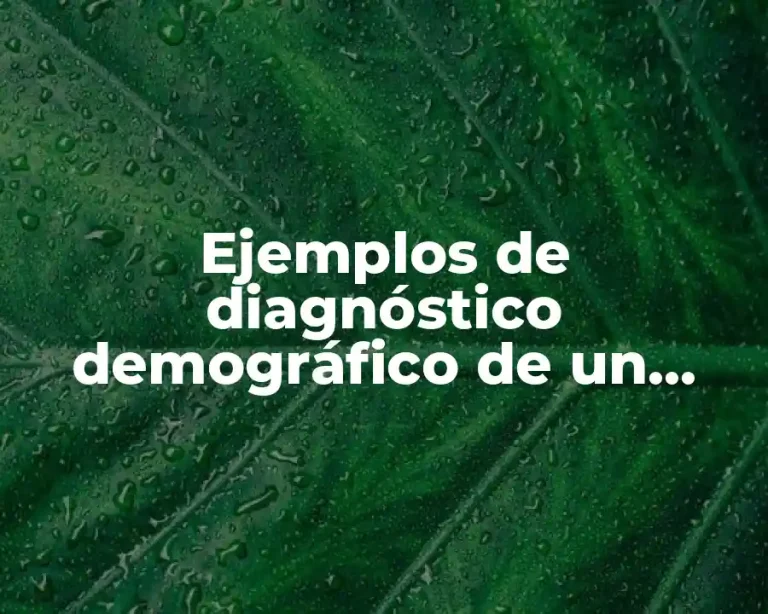 Ejemplos de diagnóstico demográfico de un jardín de niños