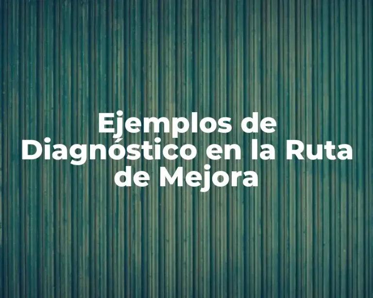 Ejemplos de Diagnóstico en la Ruta de Mejora