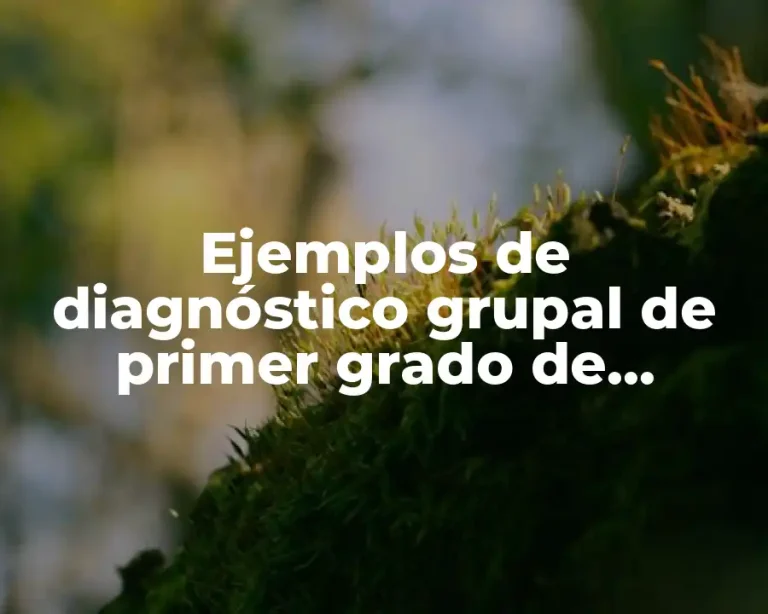 Ejemplos de diagnóstico grupal de primer grado de primaria